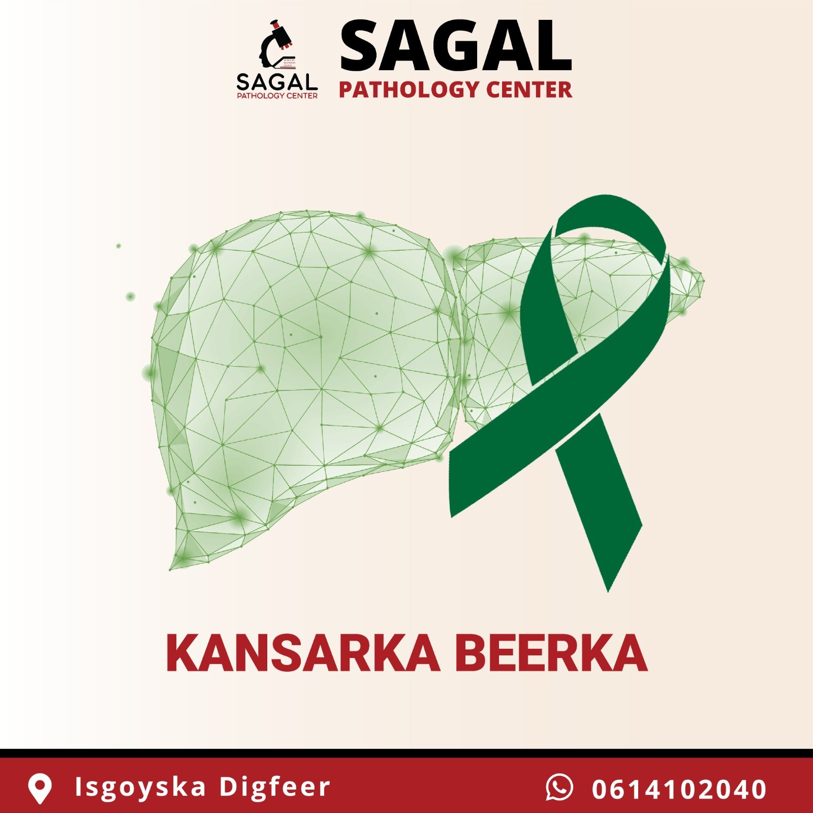 Kansarka Beerka (Liver Cancer)